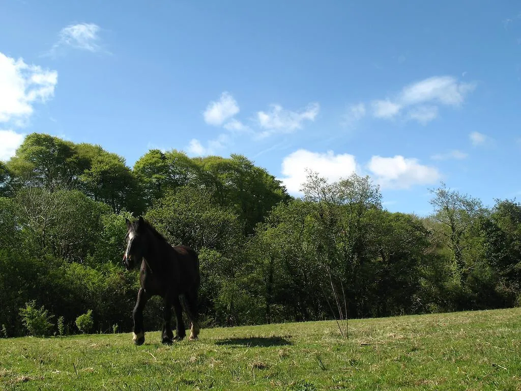 ** Campo de lujo Killarney Glamping At The Grove, Suites And Lodges Irlanda