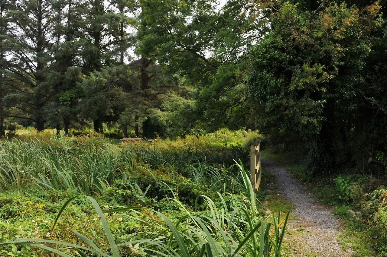 Killarney Glamping At The Grove, Suites And Lodges Ireland